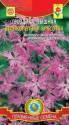 Гвоздика Великолепная красота пышная Плз