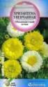 Хризантема Увенчанная махровая ССО