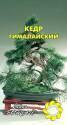 Кедр Гималайский УУ