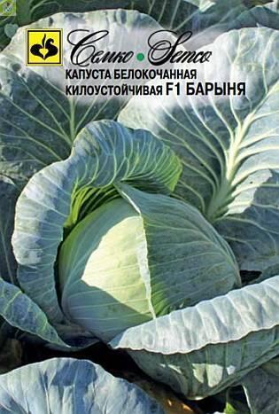 Капуста белокочанная Барыня F1 Сем