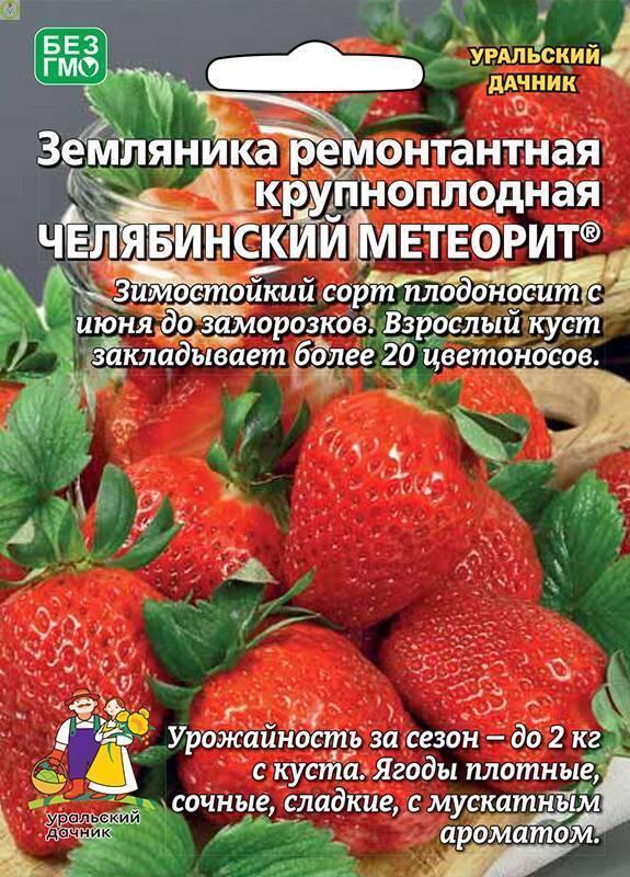 Земляника Челябинский метеорит Б/Ф УД