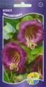 Кобея Фиолетовая Акв