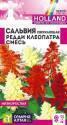 Сальвия Редди Клеопатра сверкающая СА
