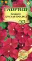 Катарантус Красная прохлада Гав