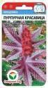 Клещевина Пурпурная красавица СС