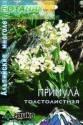 Примула Толстолистная Агр