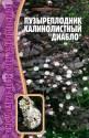 Пузыреплодник Диабло калинолистный Реш