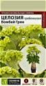 Целозия Бомбей Грин гребенчатая СА