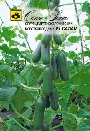 Огурец Салам F1 Сем