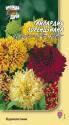 Гайлардия Лоренцзиана смесь окрасок УУ