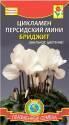 Цикламен Бриджит мини персидский Плз