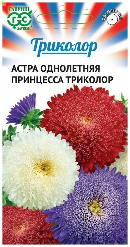 Астра Принцесса Триколор Гав