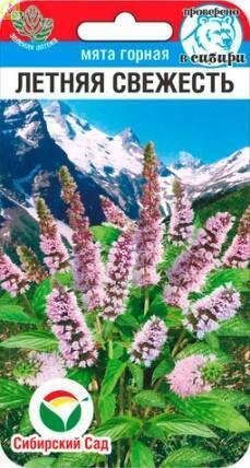 Мята Летняя свежесть СС
