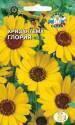 Хризантема Глория золотисто желтая Сед