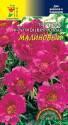 Портулак Махровый крупноцветковый малиновый ЦС