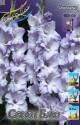 Гладиолус Свит Блю 10/12 100 шт