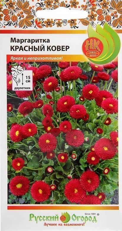 Маргаритка Красный ковер НК