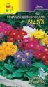 Примула Радуга смесь ЦС
