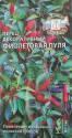 Перец Фиолетовая пуля декоративный острый Сед