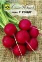 Редис Рондар F1 Сем