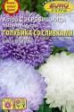 Астра Сокровищница голубика со сливками Аэл