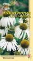 Рудбекия Белая лебедь пурпурная УУ