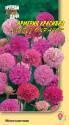 Армерия Красивая смесь окрасок УУ