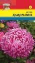 Астра Диадора пинк УУ