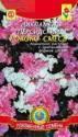 Цикламен Рококо смесь Плз