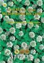 Клевер белый Жемчужная россыпь Арт