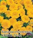Бархатцы Креста Голд Гав