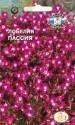 Лобелия Пассия эринус розовая Сед