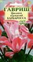 Цикламен Барбаросса персидский Гав