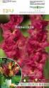 Гладиолус Вивальди 12/14