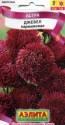 Астра Джевел карминовая Аэл