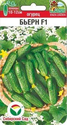 Огурец Бьерн F1 СС