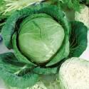 Капуста белокочанная Грандслам F1 СиО