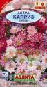 Астра Розовый каприз Аэл