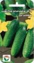Огурец Щелкунчик F1 СС