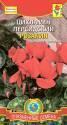 Цикламен Розалия персидский Плз
