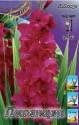 Гладиолус Пламтарт 5 шт 14/+