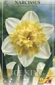 Нарцисс Айс Кинг14/16