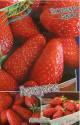 Земляника садовая Гаригуэтта 5 шт
