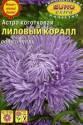 Астра Коралл лиловый Аэл