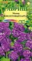 Мальва Фиолетовый бархат Гав