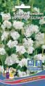 Кларкия Гирлянда белая УД