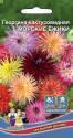 Георгина Морские ежики кактусовидная УД