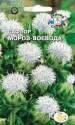 Сафлор Мороз Воевода красильный белый Сед