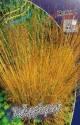 Молиния Хайдебраут 2 шт