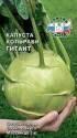 Капуста кольраби Гигант Сед